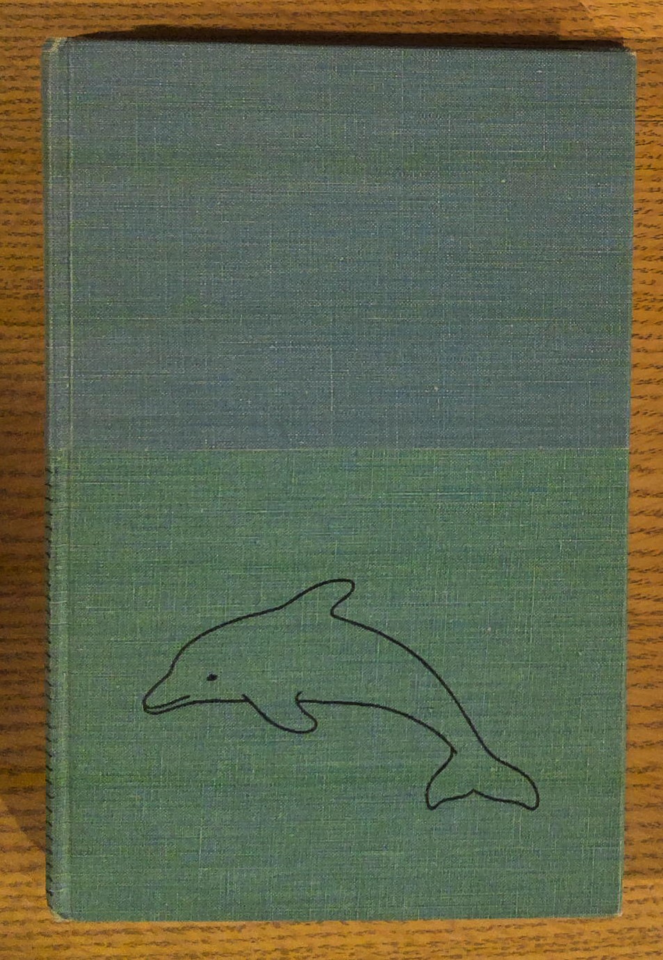 Porpoises and Sonar