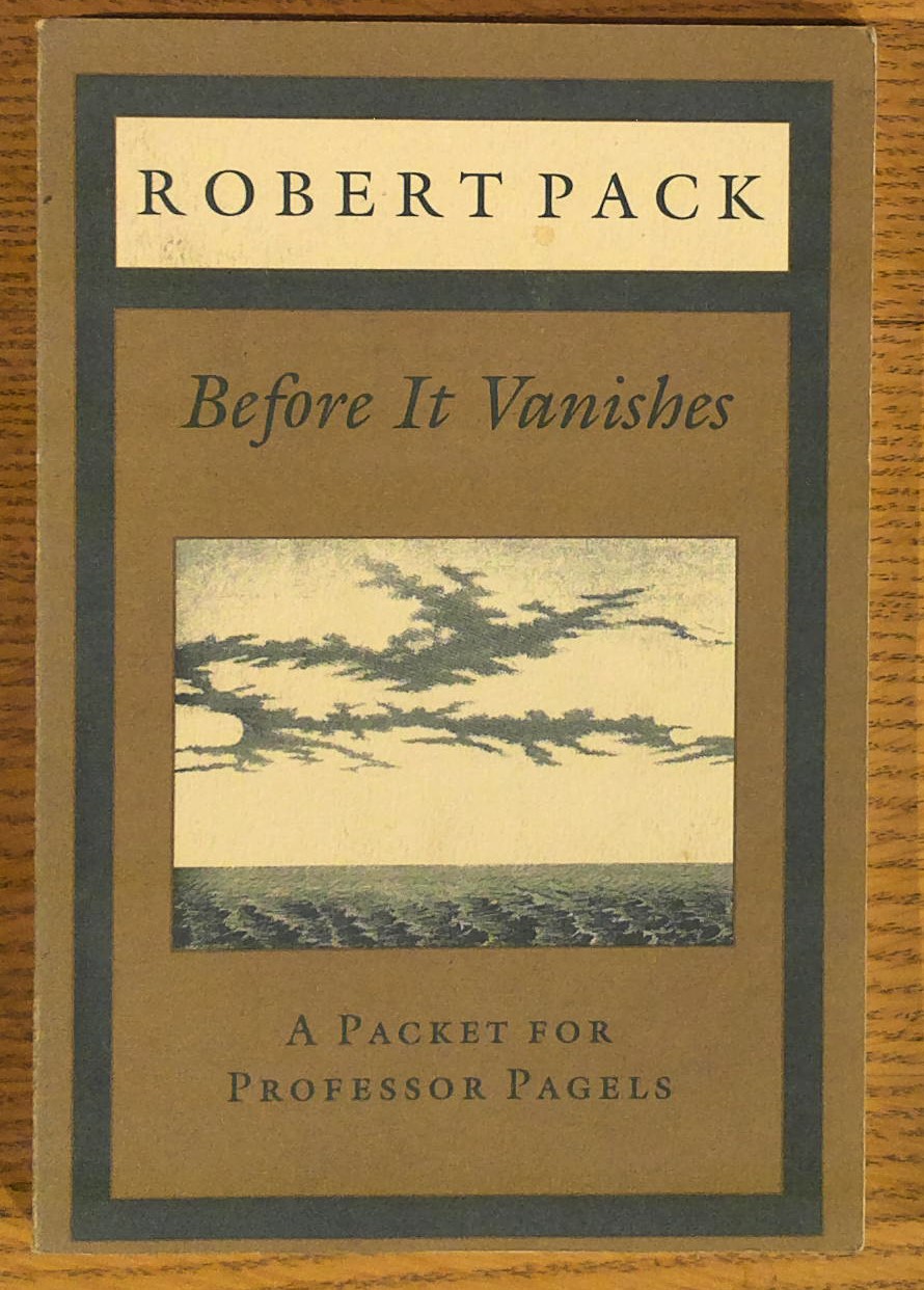 Before It Vanishes: A Packet for Professor Pagels