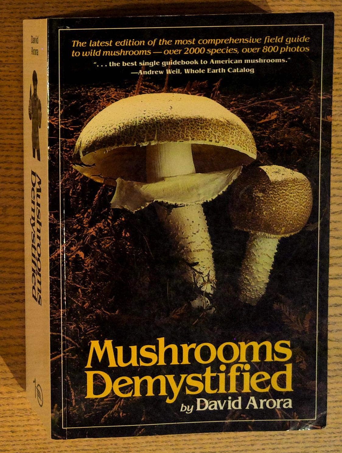 Mushrooms Demystified: A Comprehensive Guide to the Fleshy Fungi