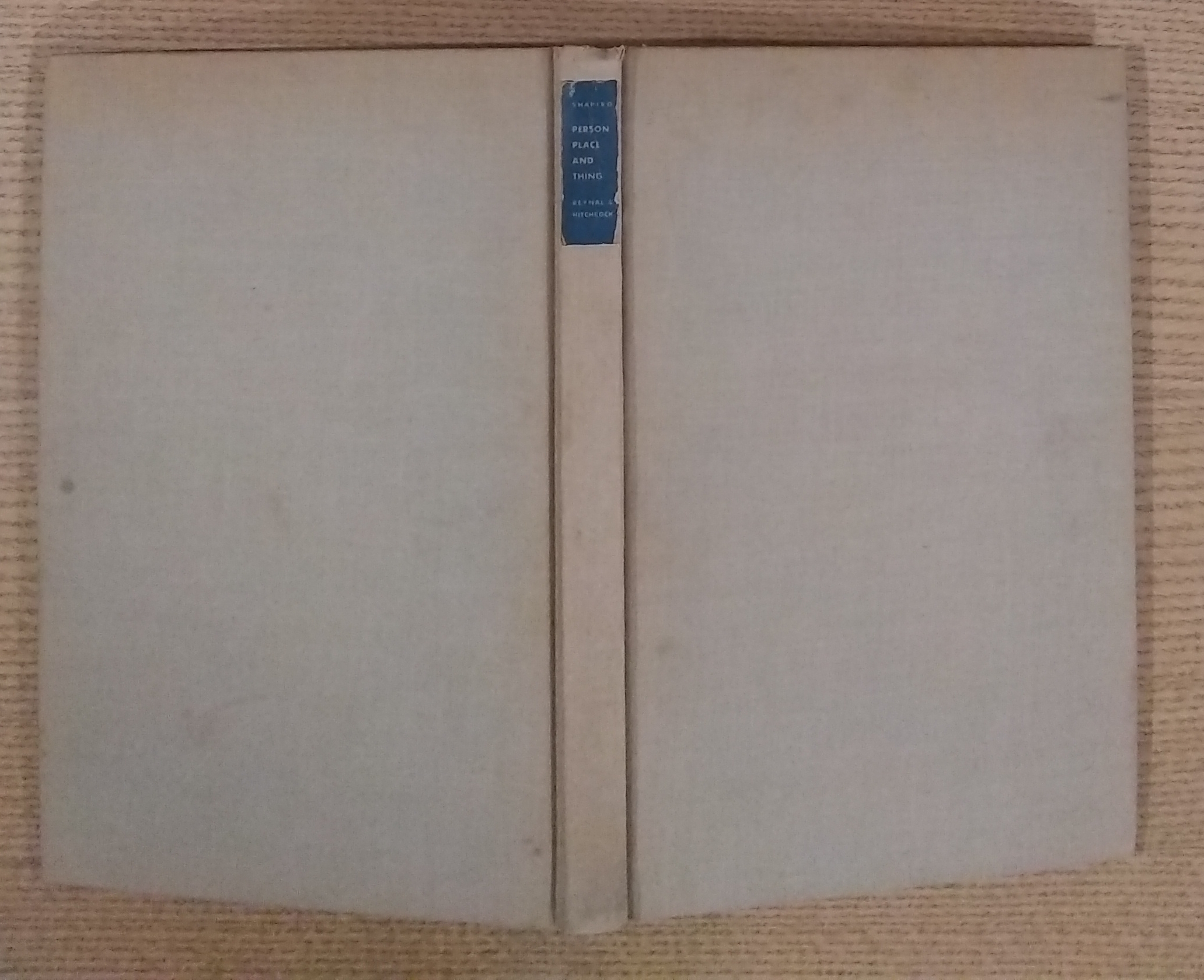 Image for Person Place and Thing Person Place and Thing