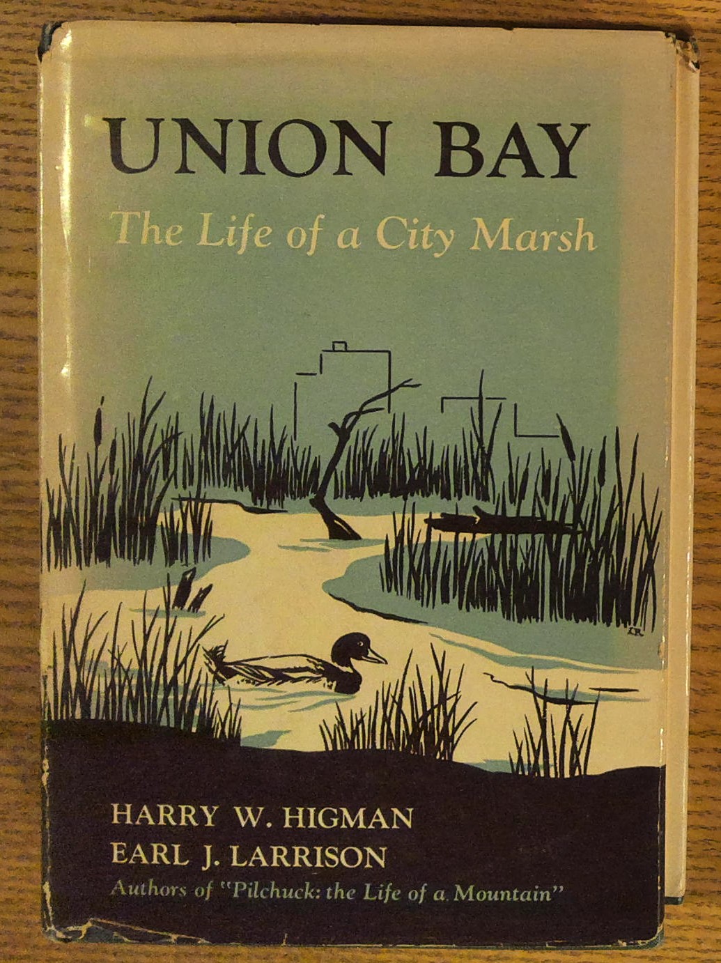Image for Union Bay: The Life of a City Marsh Union Bay: The Life of a City Marsh