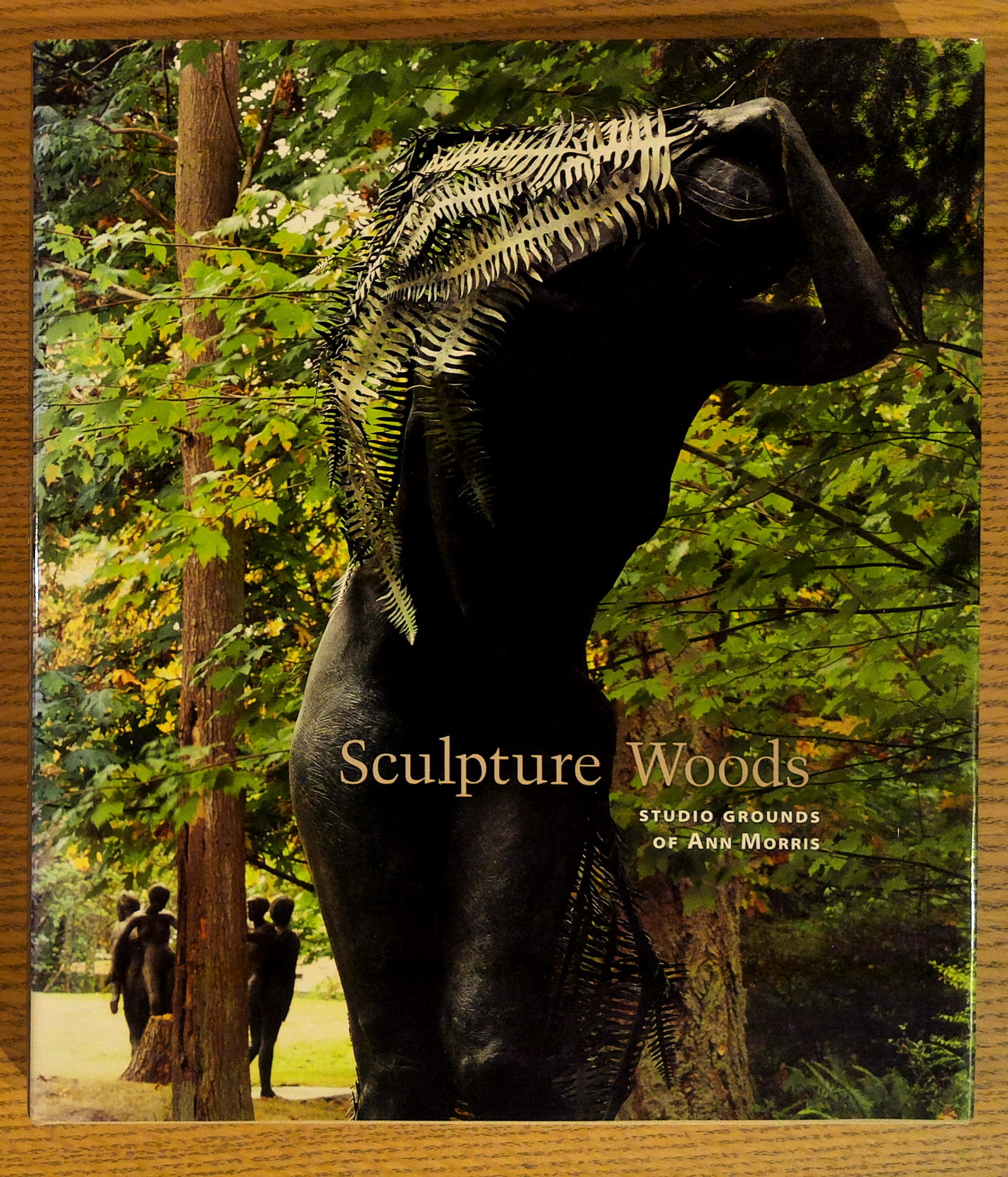 Image for Sculpture Woods : Studio Grounds of Ann Morris Sculpture Woods : Studio Grounds of Ann Morris