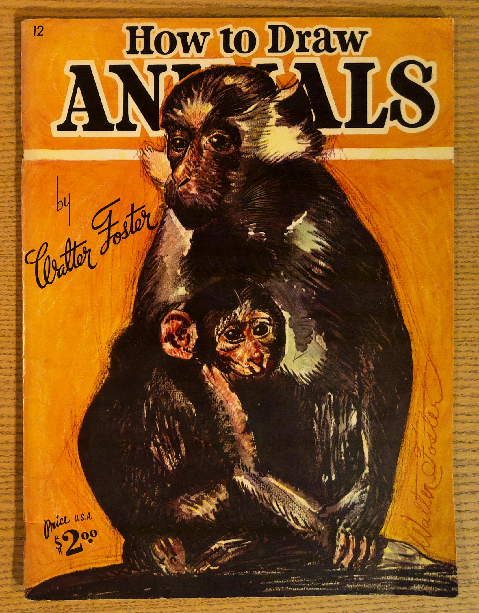 Image for How to Draw Animals How to Draw Animals