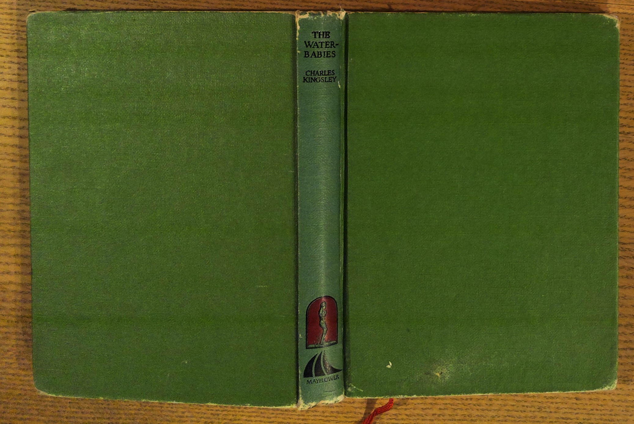 Image for The Water-Babies: A Fairy Tale for a Land-Baby The Water-Babies: A Fairy Tale for a Land-Baby