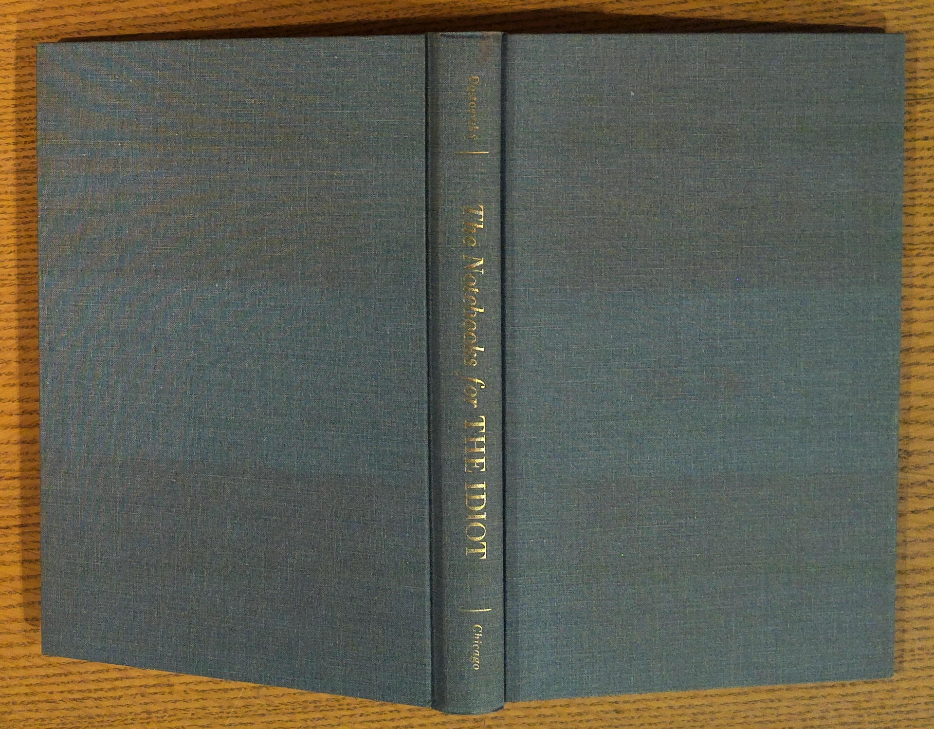 Notebooks for The Idiot, The