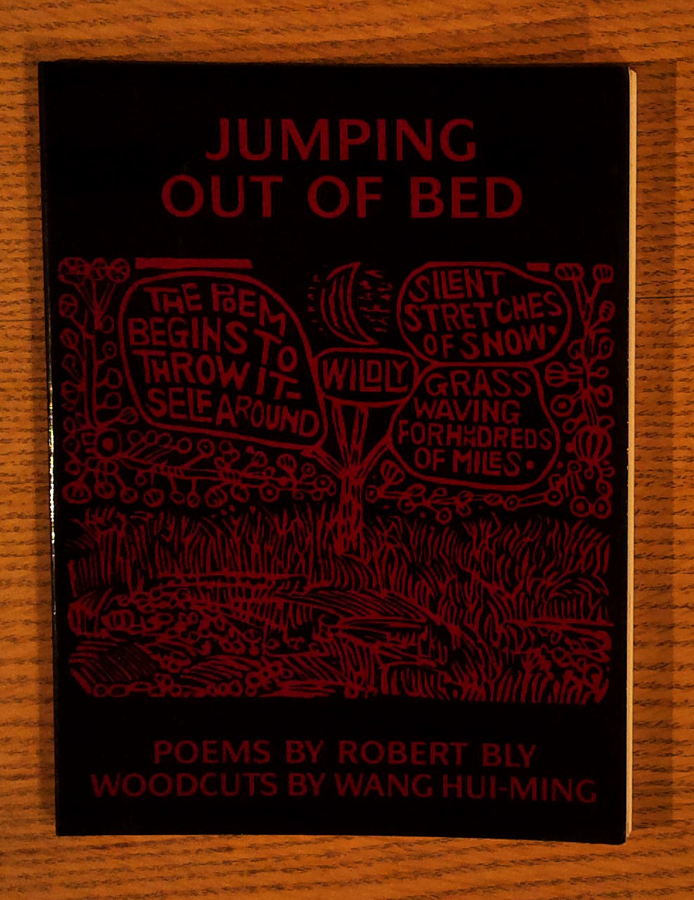 Jumping Out of Bed