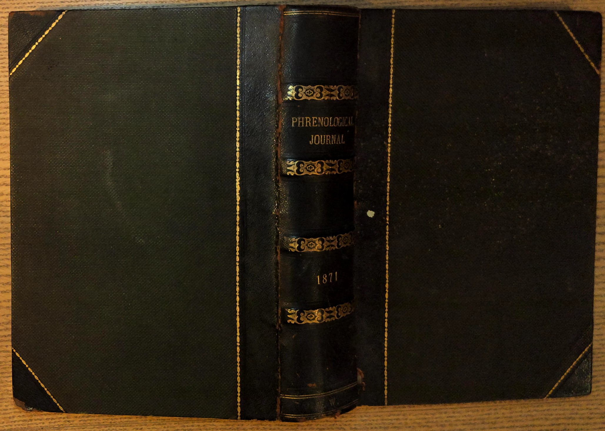 The Phrenological Journal and Life Illustrated: A Repository of Science, Literature, and General Intelligence (Volumes 51 and 52)