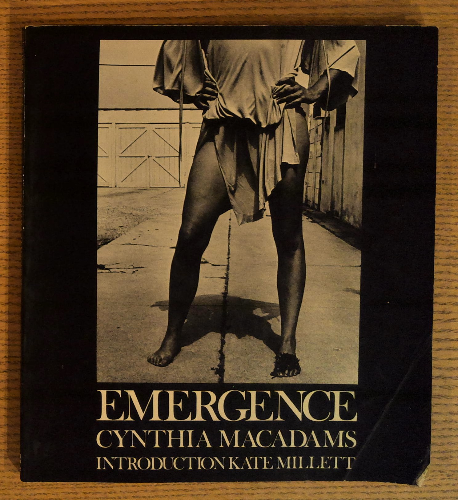 Image for Emergence Emergence