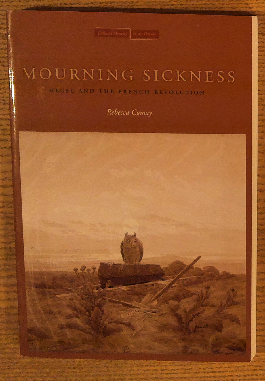 Mourning Sickness: Hegel and the French Revolution (Cultural Memory in the Present)