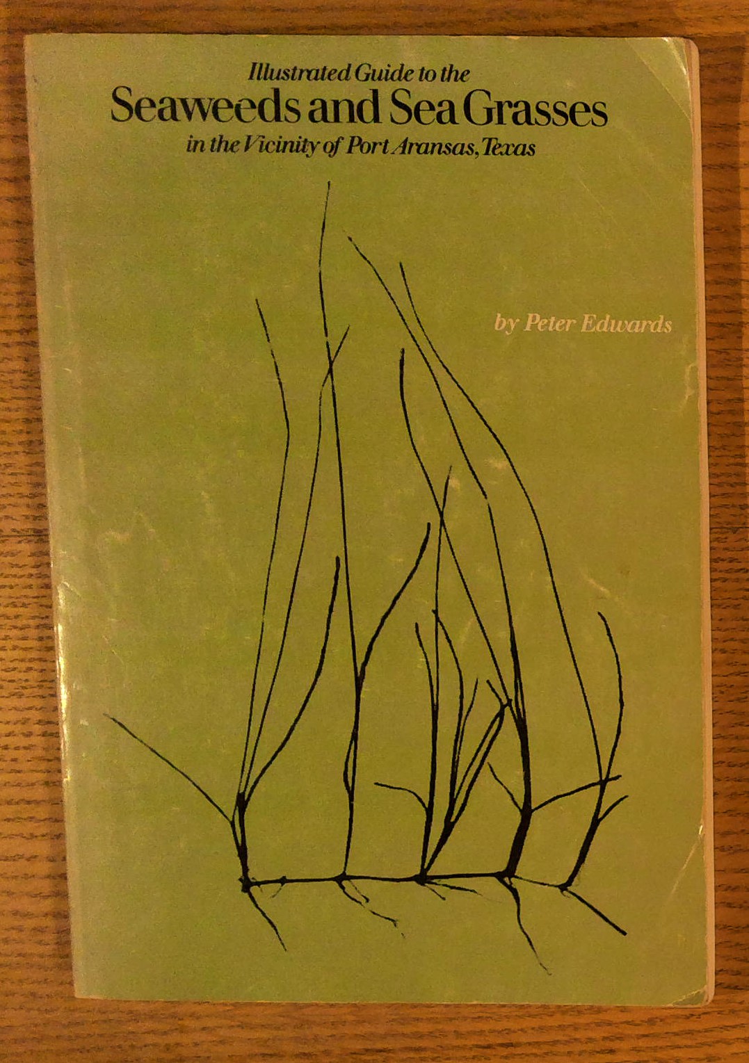 Illustrated Guide to the Seaweeds and Sea Grasses in the Vincinity of Port Aransas, Texas