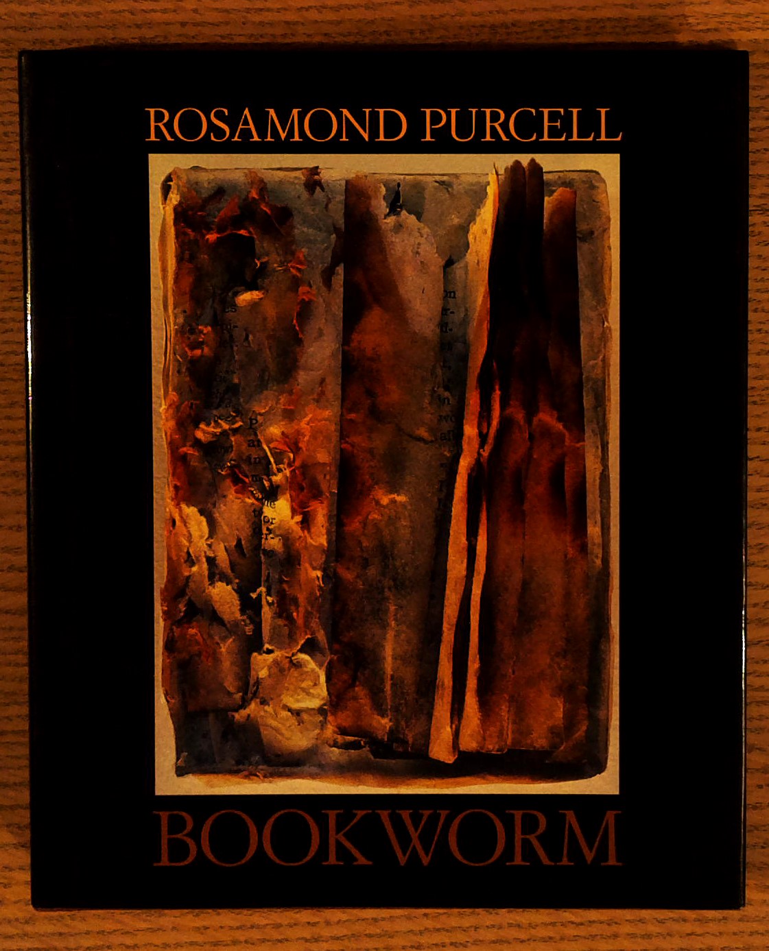 Image for Bookworm Bookworm