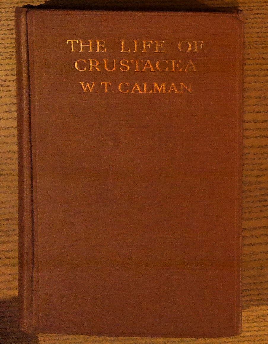 Image for The Life of Crustacea The Life of Crustacea