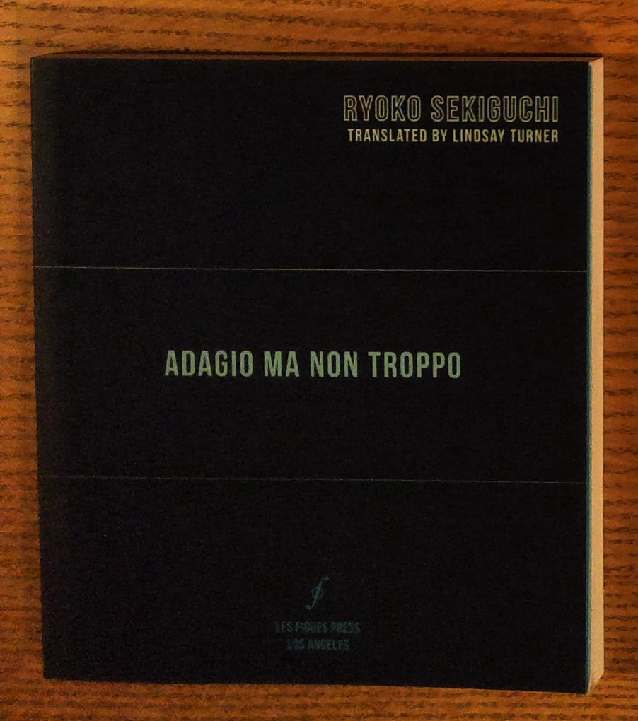 Image for Adagio Ma Non Troppo Adagio Ma Non Troppo