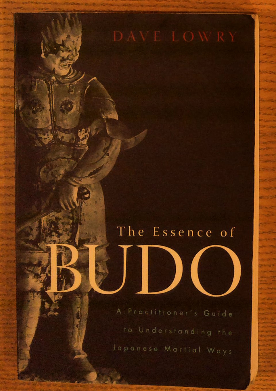 Essence of Budo: A Practitioner's Guide to Understanding the Japanese Martial Ways