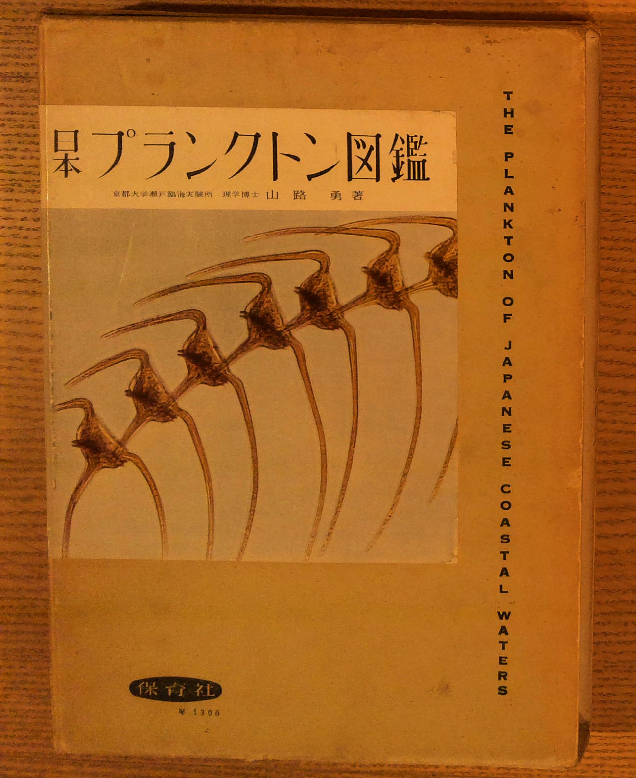 The Plankton of Japanese Coastal Waters