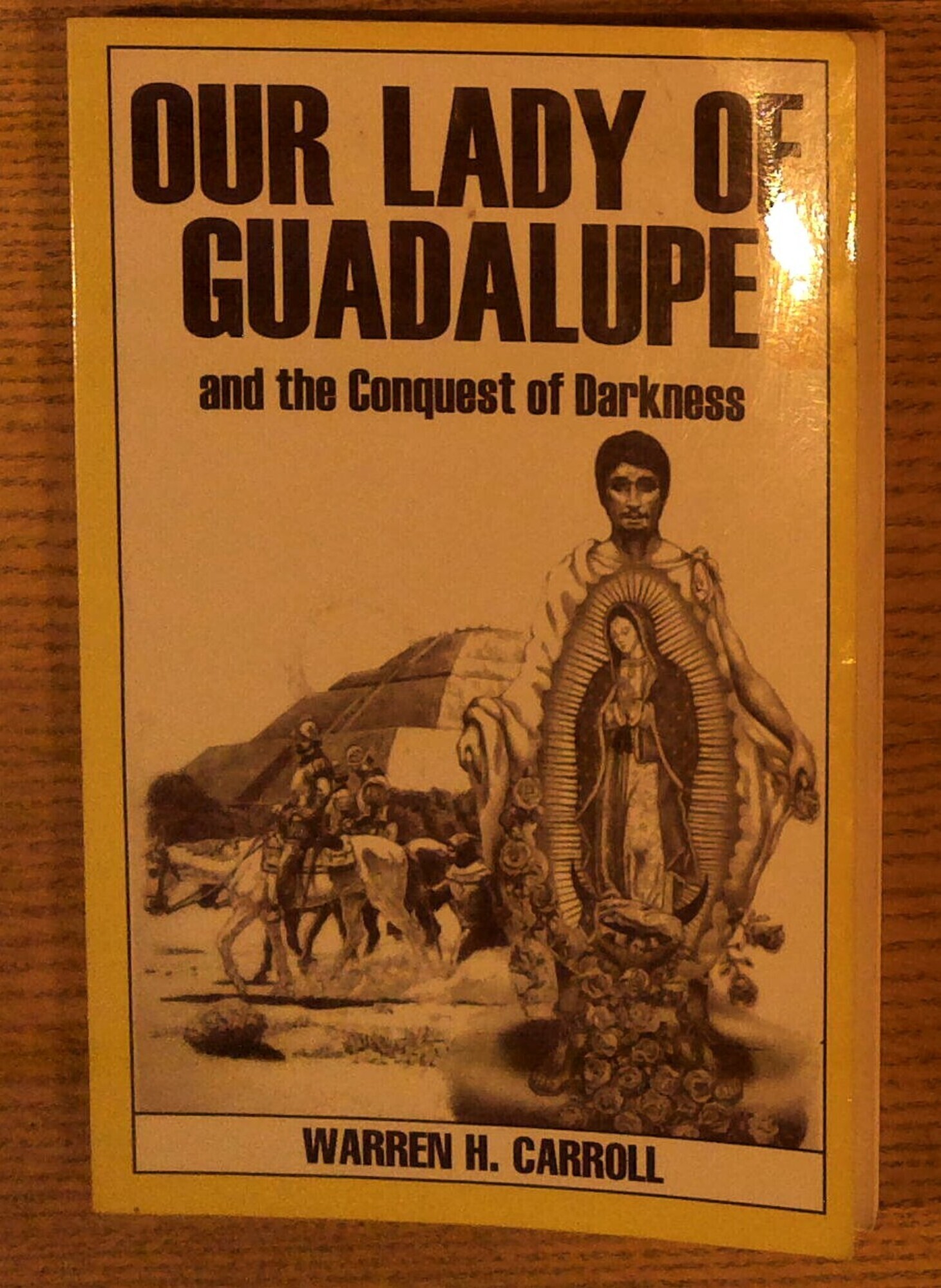 Image for Our Lady Of Guadalupe and The Conquest Of Darkness Our Lady Of Guadalupe and The Conquest Of Darkness