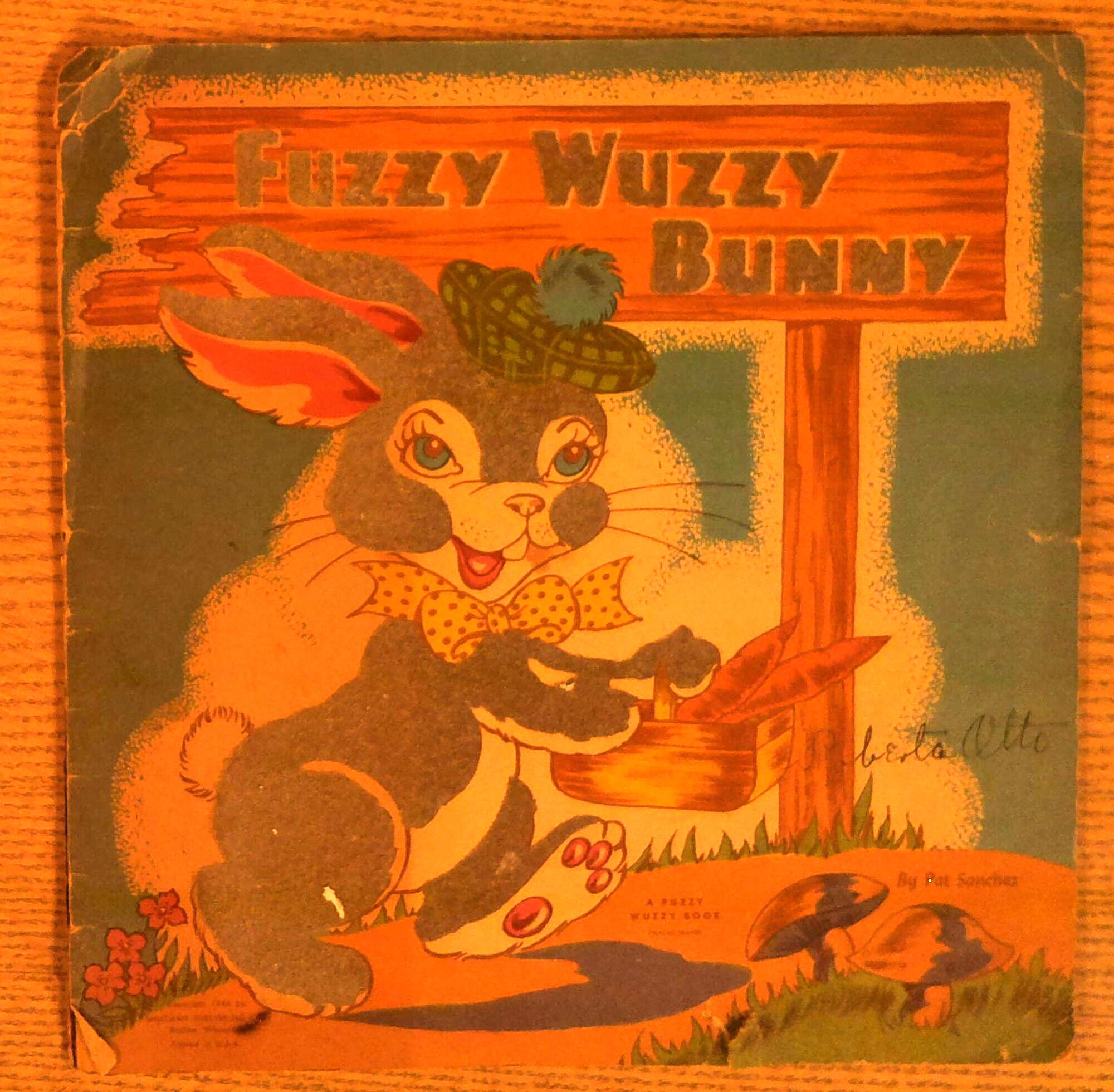 Fuzzy Wuzzy Bunny