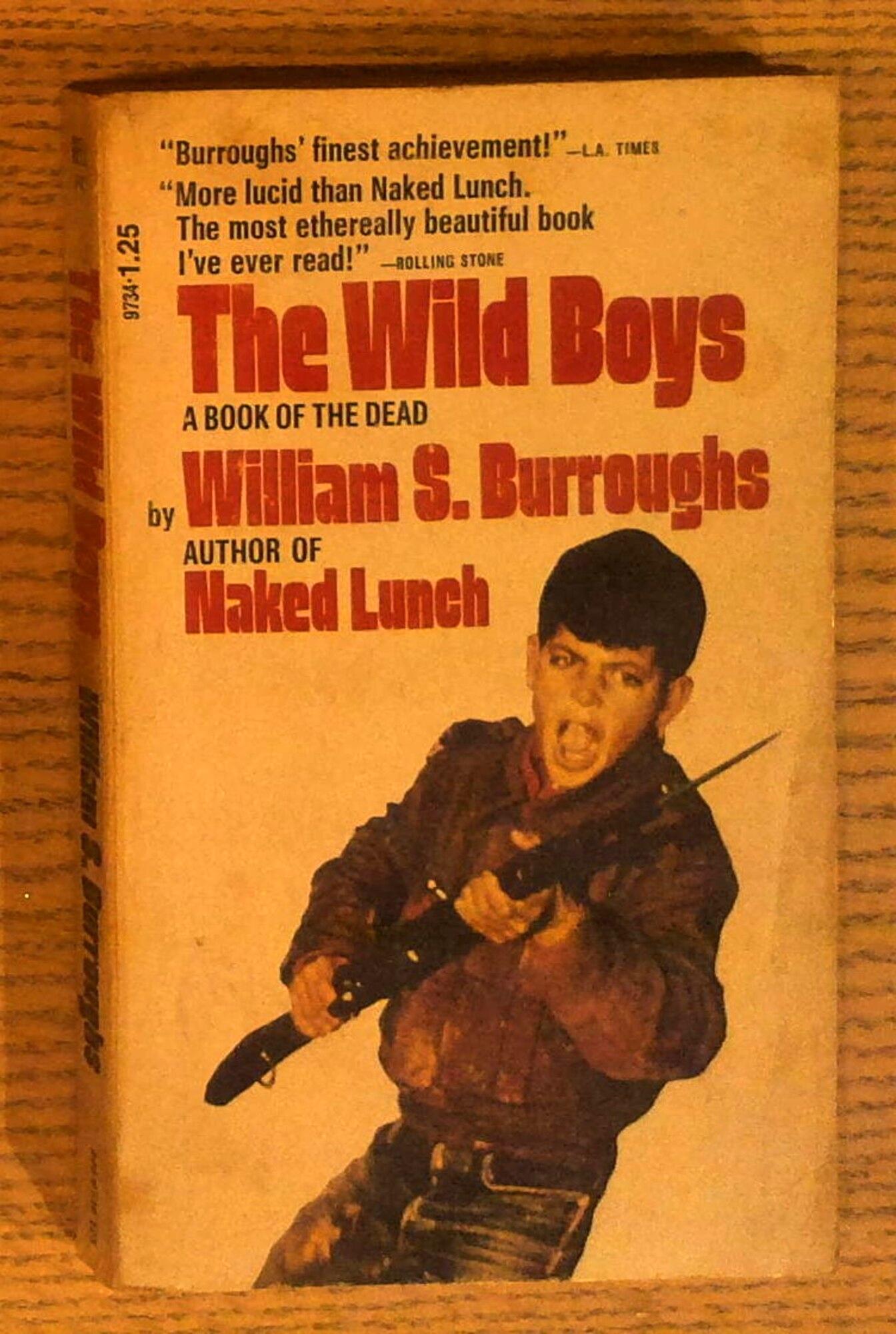 The Wild Boys